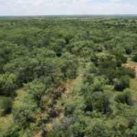 New Listing 10 - Acres Taylor County images 2