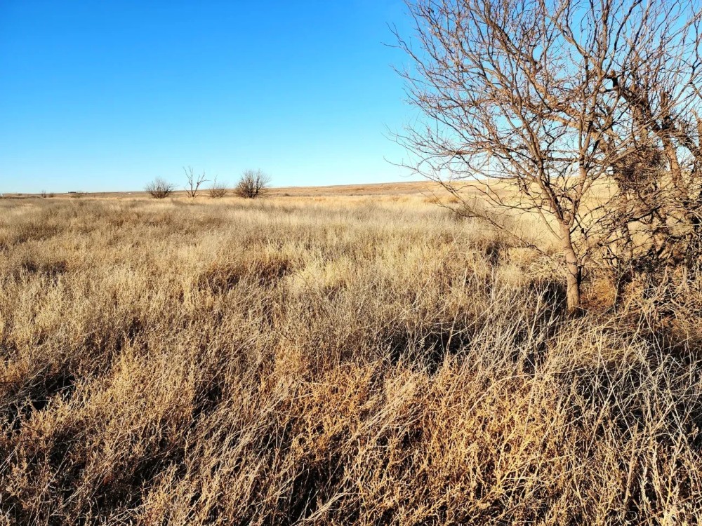 Recreational Property with North Fork Cimarron River Frontage featured image