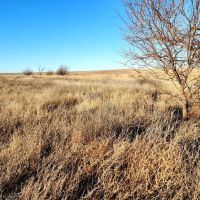 Recreational Property with North Fork Cimarron River Frontage