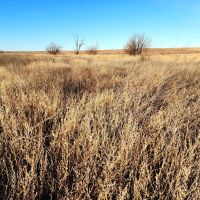 Recreational Property with North Fork Cimarron River Frontage images 2
