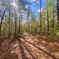 18.94 acres in Lincoln County images 3