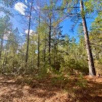 18.94 acres in Lincoln County images 5