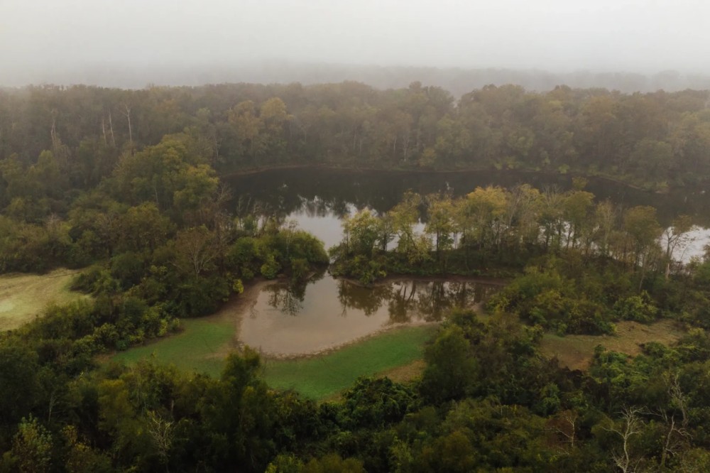 141.99 Acres with a cabin on Lake Albemarle in Issaquena County MS featured image