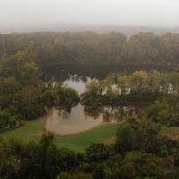 141.99 Acres with a cabin on Lake Albemarle in Issaquena County MS