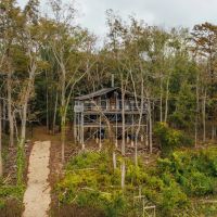 141.99 Acres with a cabin on Lake Albemarle in Issaquena County MS images 3