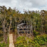 141.99 Acres with a cabin on Lake Albemarle in Issaquena County MS images 4