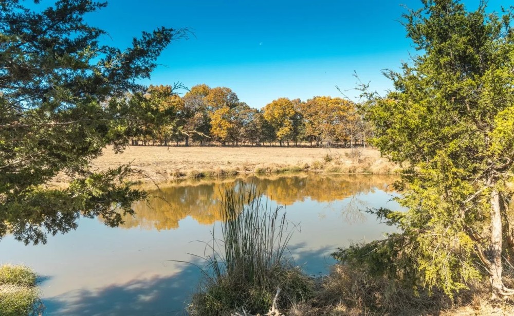 Cook Riverside Farm Tract 2 featured image