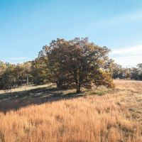 Cook Riverside Farm Tract 2 images 3