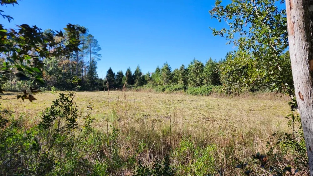 26 Acres in Camden County GA featured image