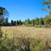 26 Acres in Camden County GA