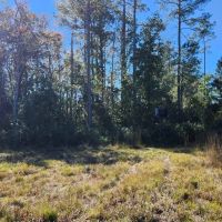 26 Acres in Camden County GA images 3