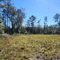 26 Acres in Camden County GA images 4