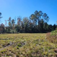 26 Acres in Camden County GA images 5