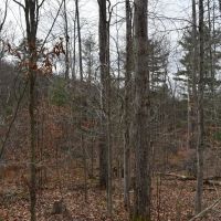 Morgan Hollow Hideaway