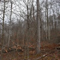 Morgan Hollow Hideaway images 3