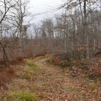 Morgan Hollow Hideaway images 4