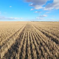 Prime Tillable Cropland with Mostly Class II Soils images 2