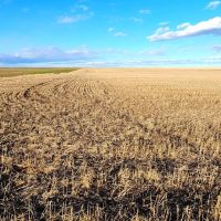 Prime Tillable Cropland with Mostly Class II Soils images 3