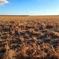 Prime Tillable Cropland with Mostly Class II Soils images 4