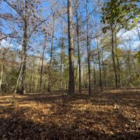 Kings Mill Farm images 4