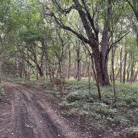 Crawford County Whitetails and Waterfowl images 4