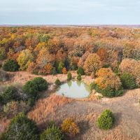 Pond Side Hideaway images 3