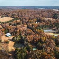 Pond Side Hideaway images 4