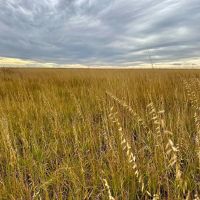 Kiowa Co. CO W320 images 1