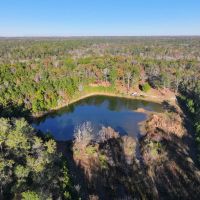 162 Acre Hunters Paradise with Charming Cabin in Grady AL images 4