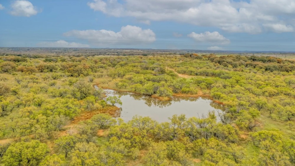 JUST LISTED 191 -Acres FM 2945 Cisco TX 76437 featured image