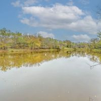 JUST LISTED 191 -Acres FM 2945 Cisco TX 76437 images 3