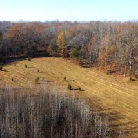 28 - Acres For Sale in Butler Co. images 3