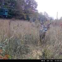 28 - Acres For Sale in Butler Co. images 5