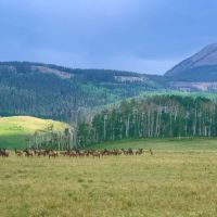 Yalgo Ranch images 2