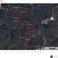 Land Timber 40 images 4