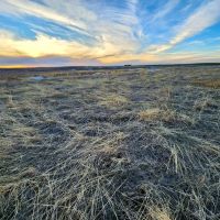 Comanche Creek Ranch images 3