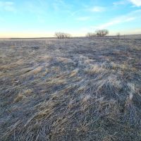 Comanche Creek Ranch images 4