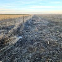 Comanche Creek Ranch images 5