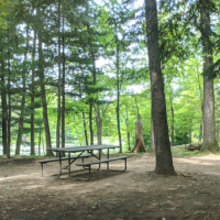169 Acres Brunet Island State Park for Hunting Fish in Madison, WI images 2