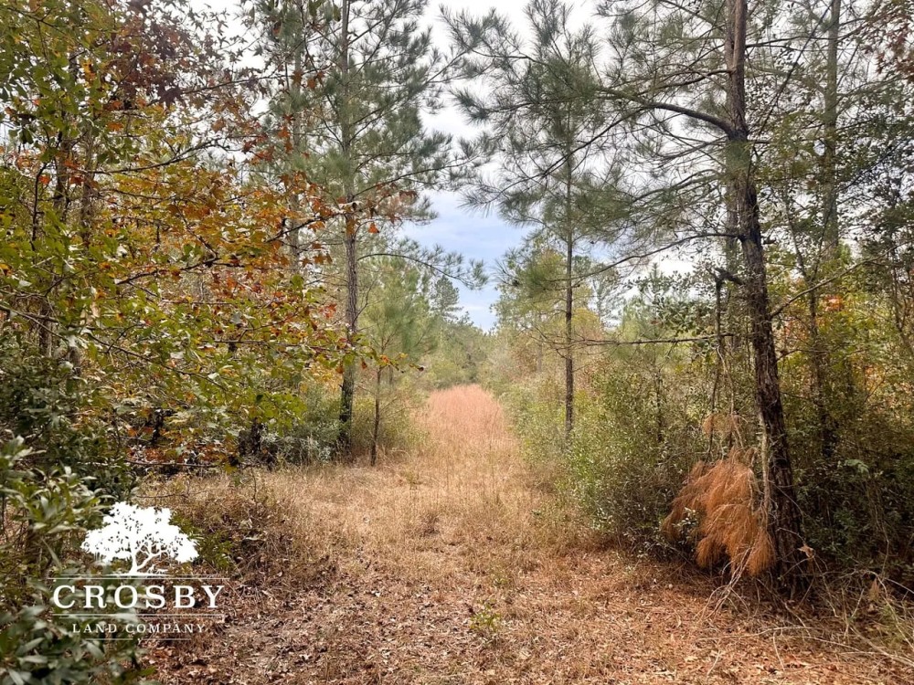 Possum Point Road Tract 1 featured image
