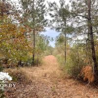 Possum Point Road Tract 1