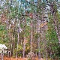 Possum Point Road Tract 1 images 2