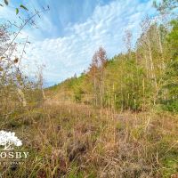 Possum Point Road Tract 1 images 3