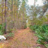 Possum Point Road Tract 1 images 5