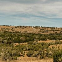 Negem Kendalia Ranch
