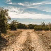 Negem Kendalia Ranch images 2