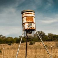 Negem Kendalia Ranch images 4