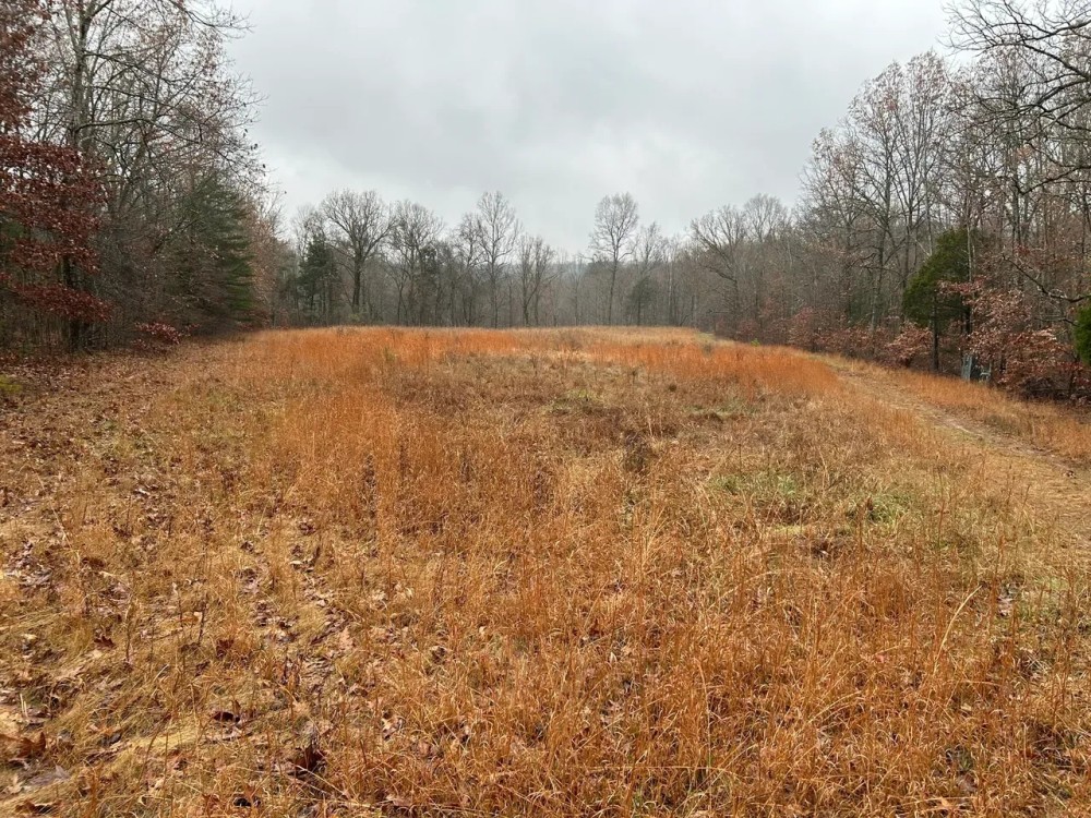 Mammoth Cave Park Boundary featured image