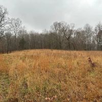 Mammoth Cave Park Boundary images 2