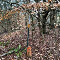 Mammoth Cave Park Boundary images 3